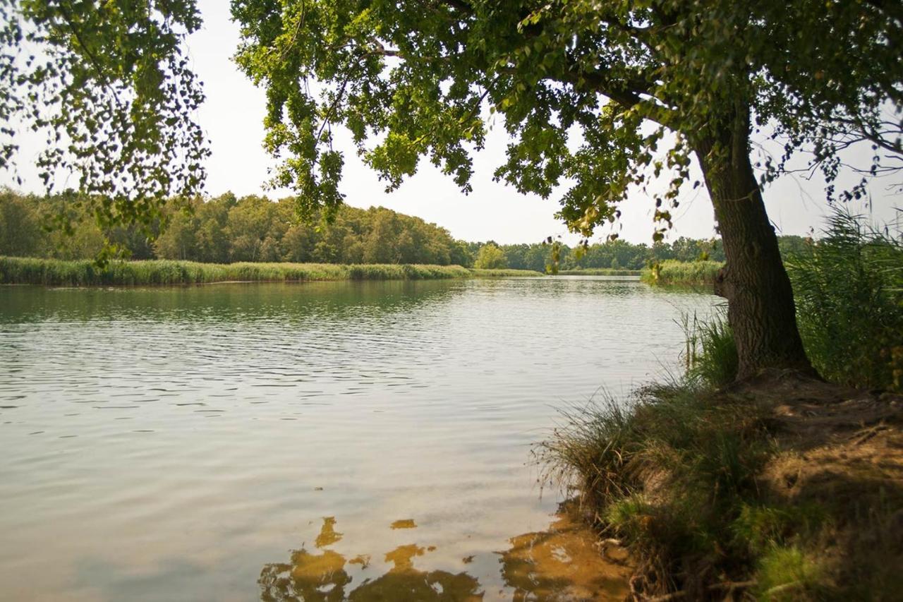 Hospoda-Ferienhaus Am Olba-See Malschwitz Buitenkant foto