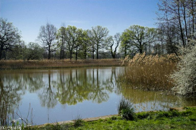 Hospoda-Ferienhaus Am Olba-See Malschwitz Buitenkant foto